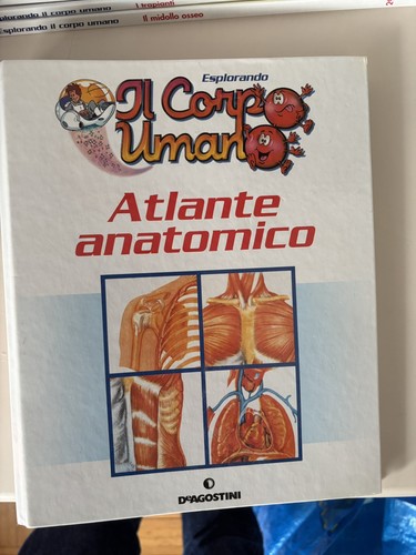 Esplorando corpo umano - il, 26