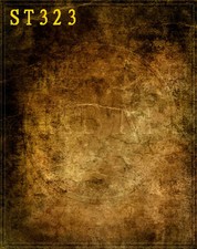 Carta da parati 5'x8' dipinta