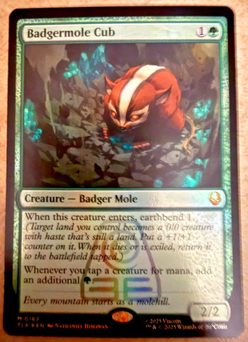 Badgermole cub avatar the - cub, avatar: