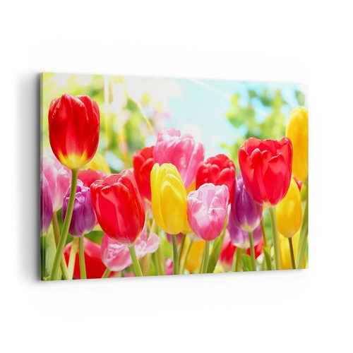 Quadro tela 120x80cm - quadro,