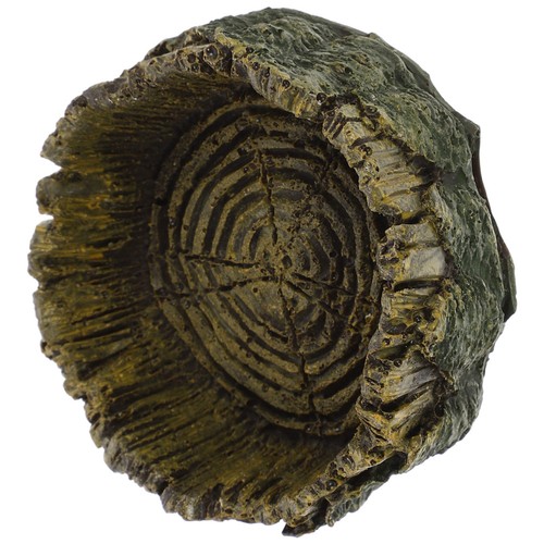 Ciotola cibo drago barbuto