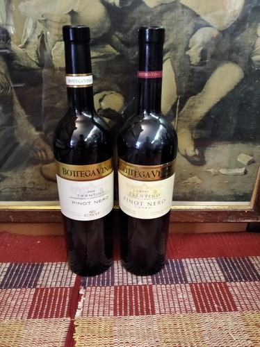 Coppia bottiglie pinot - di,