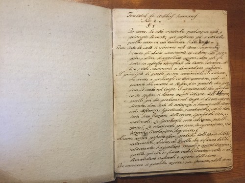 Libro manoscritto 1800 xix - libro,