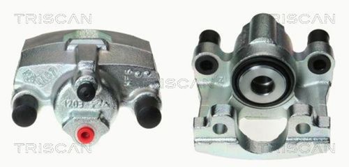 Pinza freno triscan 8170 - pinza,