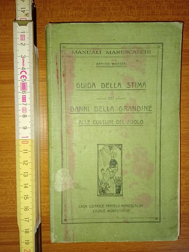 Maestri arturo guida della - arturo,,