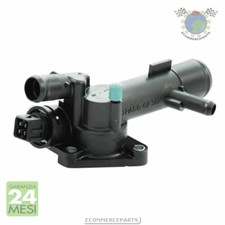 C6ymd Termostato Acqua Meat