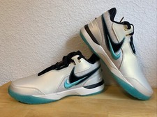 Nike Zoom Lebron (James) NXXT
