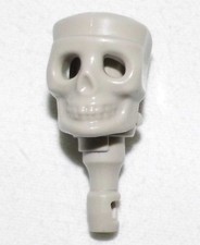 03880, Testa, Teschio