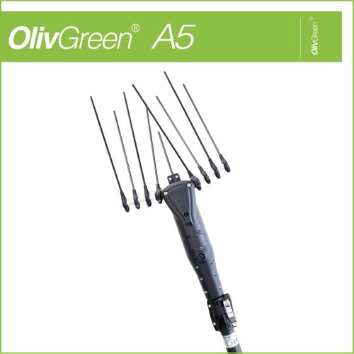 Minelli olivgreen - a5,