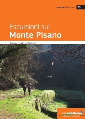 Escursioni sul monte - , pisano