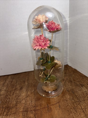 Fiori secchi vintage cloche - fiori,