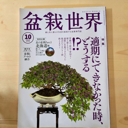 Bonsai world oct - world, mag
