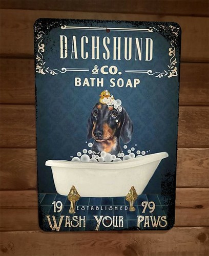 Bassotto wiener cane bagno - bassotto,