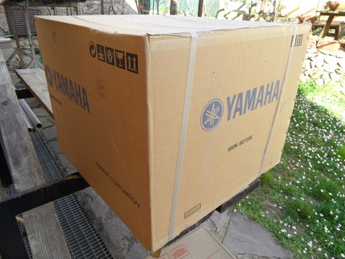 Cassa yamaha recording custom - cassa,