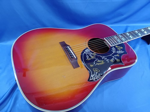 Chitarra acustica elettrica