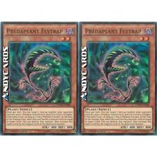 2x PREDAPLANT FLYTRAP (Predapianta Acchiappamosche) • Super R • FUEN EN006