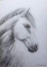 disegno originale firmato cavallo animale matita grafite è certificato