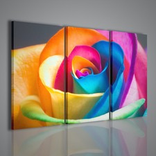 QUADRI MODERNI COLOR ROSE