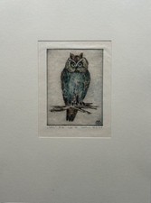 Incisione Ritratto Di Animale