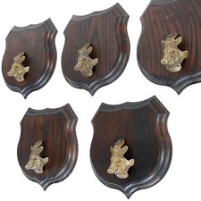 5X Scudi Araldici Cinghiale AF