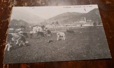 CARTOLINA BERGAMO PROVINCIA CLUSONE PANORAMA PASCOLO ANIMATA!!!