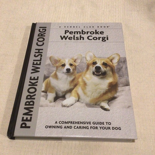 Pembroke welsh corgi hywel - pembroke, e.
