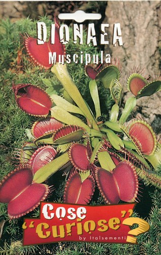 Semi seeds dionea - seeds,