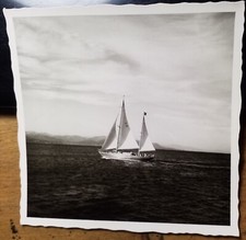 Nave barca a vela - monsone /