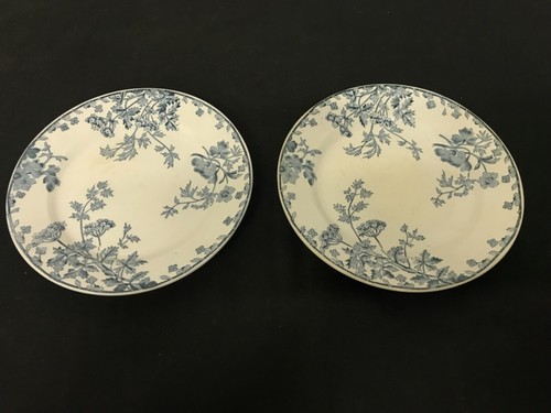 Coppia piatti ceramica laveno - coppia,