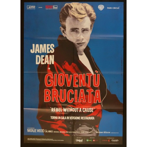 Manifesto gioventu bruciata - gioventu',