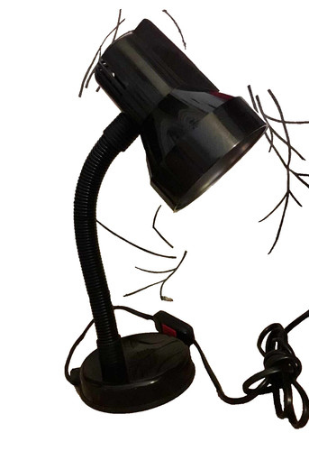 Offerta limitata lampada - offerta, limitata-lampada