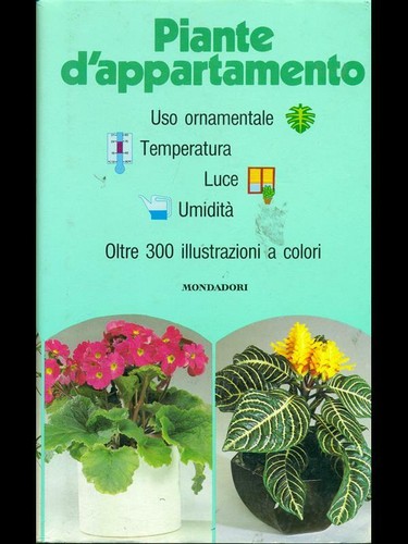 Piante appartamento - piante, d'appartamento