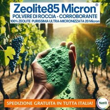 ?Zeolite PURA Micronizzata 100% Biologica CERTIFICATA 20kg SPEDIZIONE GRATIS!?