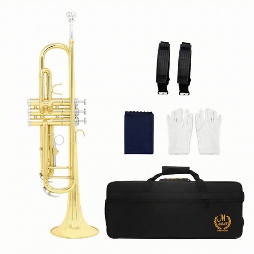 Tromba sib studio - in,