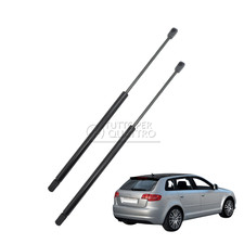 2 Molle A Gas Posteriori Baule