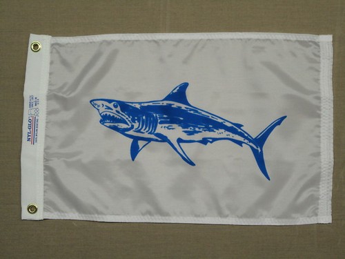 Mako shark blue - white, indoor