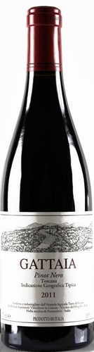 Bottles pinot nero 2022 igt - 6,