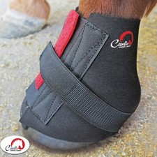 Cavallo pastern wraps coppia - wraps,