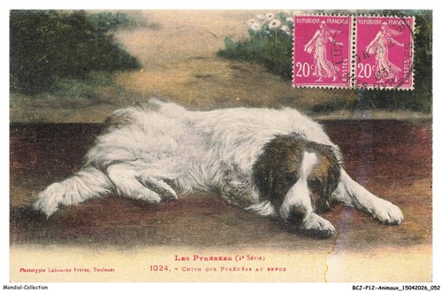Bcjp12 0768 animaux - -,