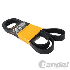 Cinghie A V CONTINENTAL