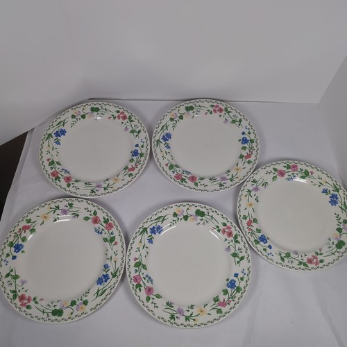 Set piatti giardino - piatti, da