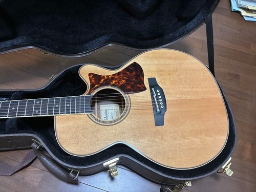 Chitarra elettrica acustica