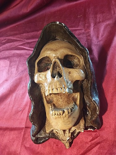 Memento mori testa - testa, teschio