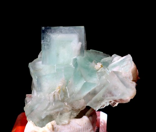 Naturale porcellana - 24,5, "porcellana"