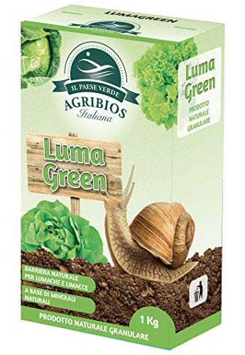 Paese verde lumagreen - il,
