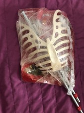 RBA - Il Corpo Umano 2018 -