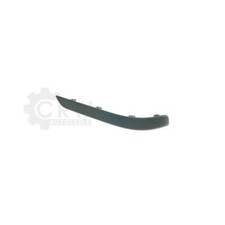 Modanatura Posteriore Sinistra