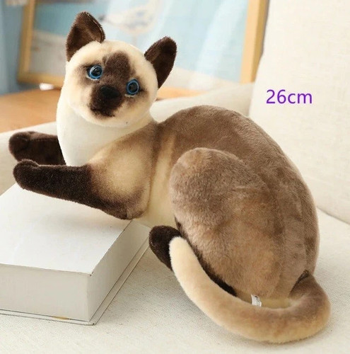 Gatto siamese pollici - ✅gatto, 10