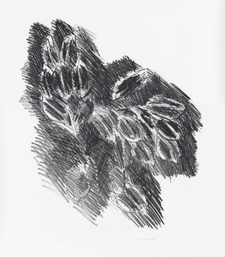 Morlotti ennio frutti - ,