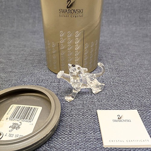 Swarovski cucciolo leone - di,